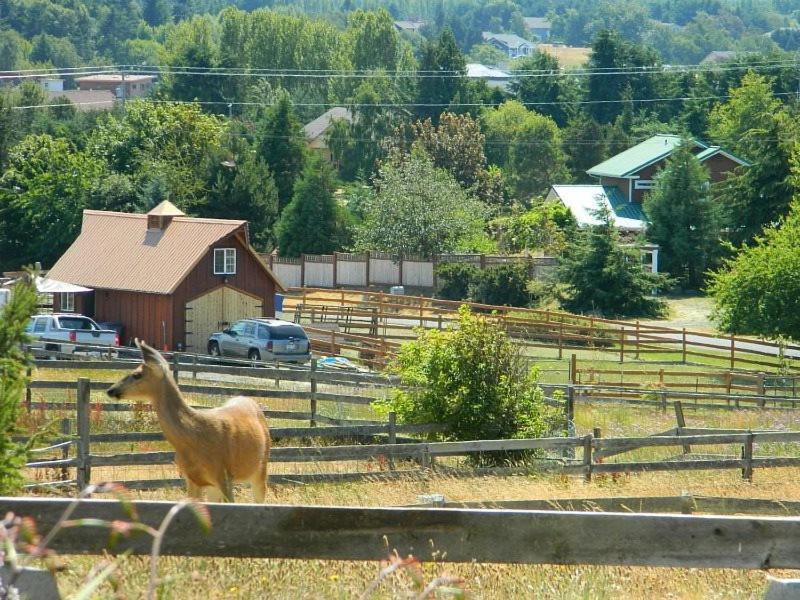 Sq Olympic-View-Cottage Sequim Exterior foto